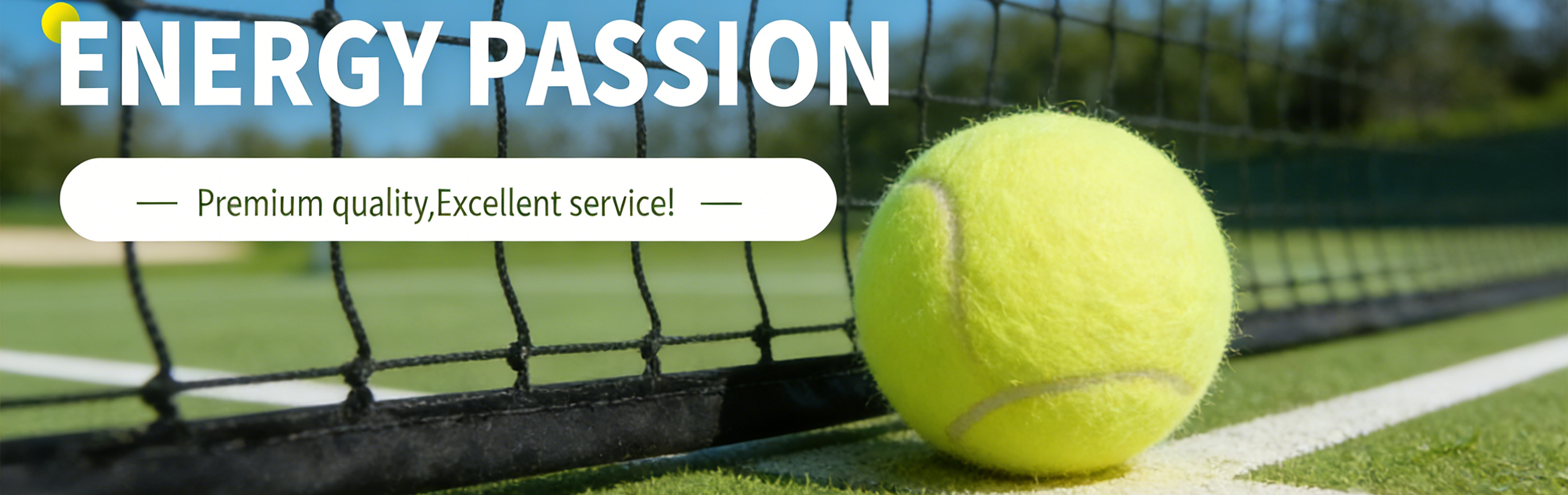 SHENZHEN SHENGLONG NETTING CO., LTD.